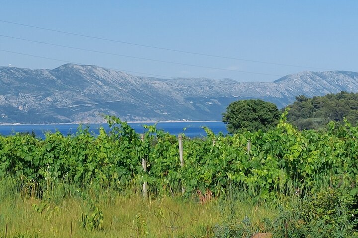 Korčula Island Halve dag tour met een lokale Gids