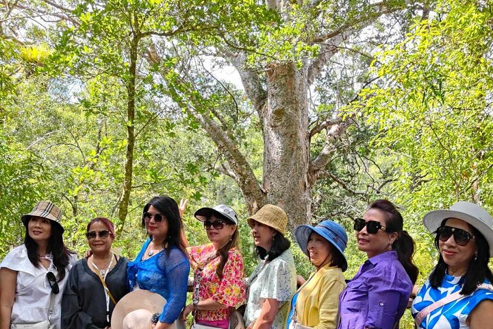 *Popular Tour* - Bay of Islands: Nature Adventure - 4 horas