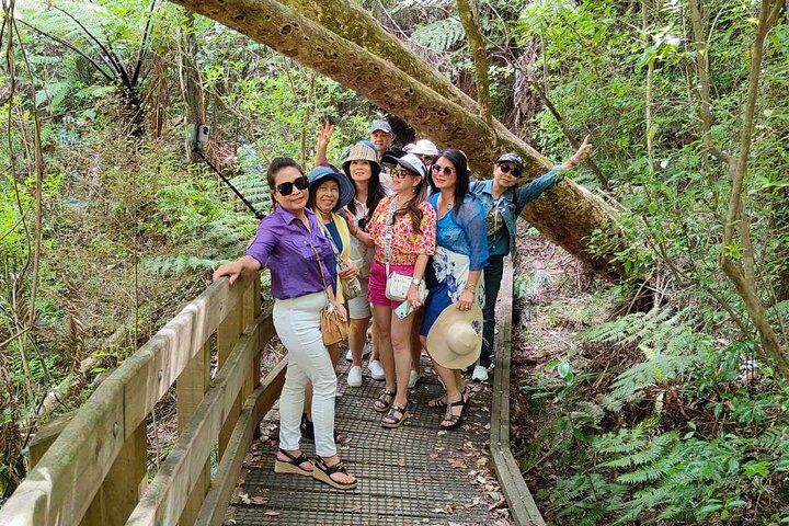 *Popular Tour* - Bay of Islands: Nature Adventure - 4 horas