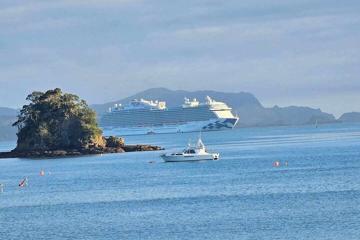 *Popular Tour* - Bay of Islands: Nature Adventure - 4 horas