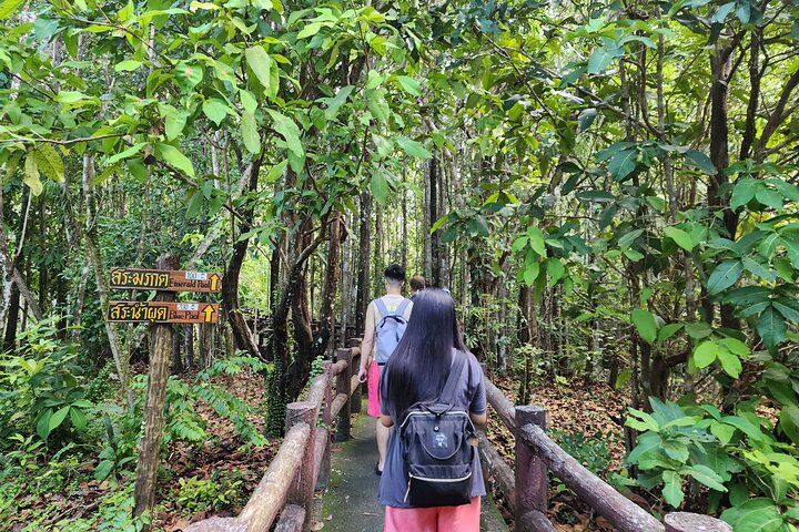 Krabi: Tiger Cave, Emerald Pool og Hot Springs lille gruppe tur