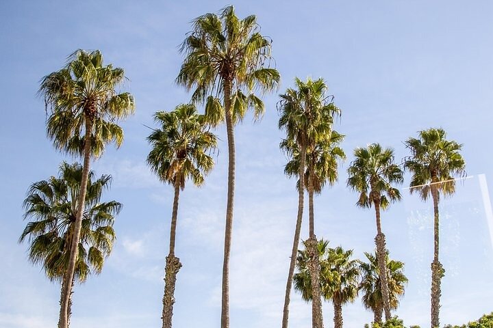 Attrazioni iconiche di Los Angeles, Hollywood, Beverly Hills, spiagge e altro ancora