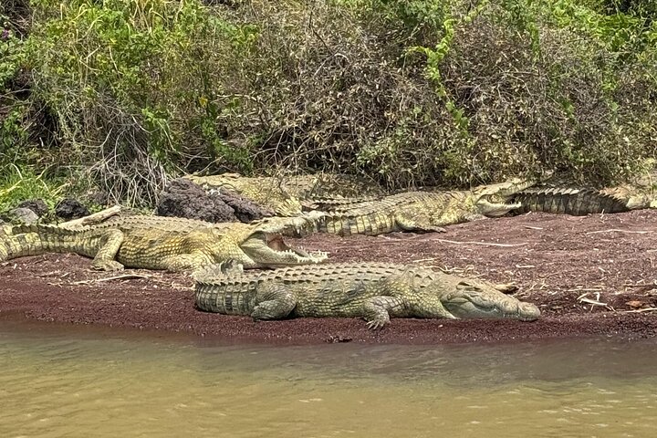 3 Tage Arba Minch und Konso Tour : Natur und Kultur Abenteuer