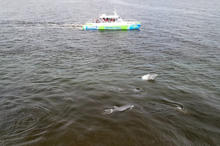 Katamaran delfin cruise i Myrtle Beach med Barrier Island stopp