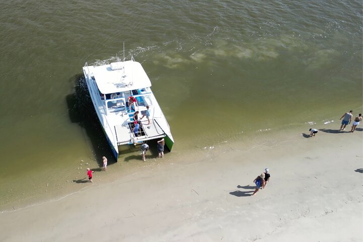 Katamaran delfin cruise i Myrtle Beach med Barrier Island stopp