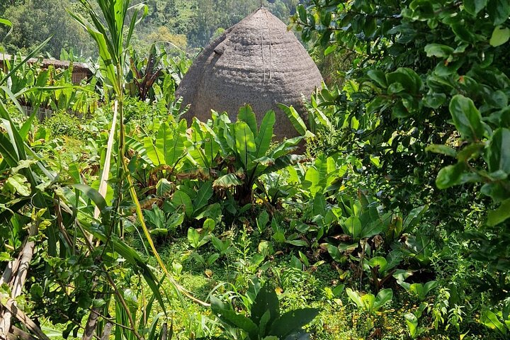 3 Tage Arba Minch und Konso Tour : Natur und Kultur Abenteuer
