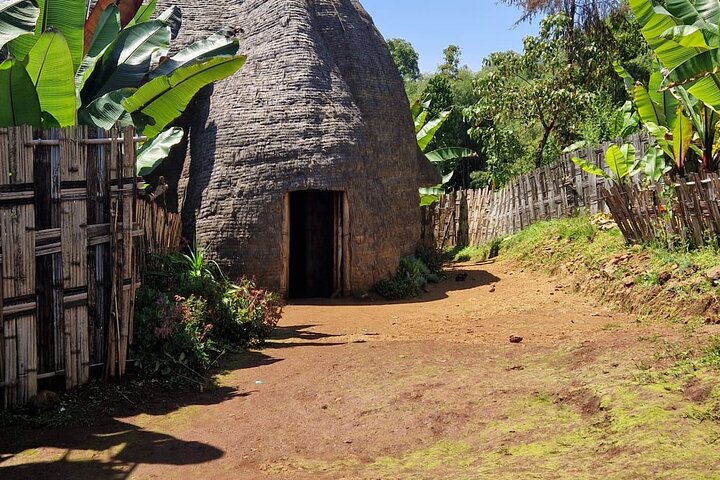 3 Tage Arba Minch und Konso Tour : Natur und Kultur Abenteuer
