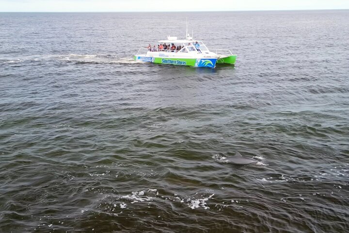 Katamaran delfin cruise i Myrtle Beach med Barrier Island stopp