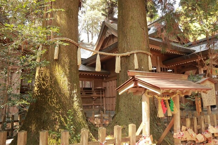 Kumamoto Route Bus 1 dagstur: Takachiho Gorge og lokal lunsj