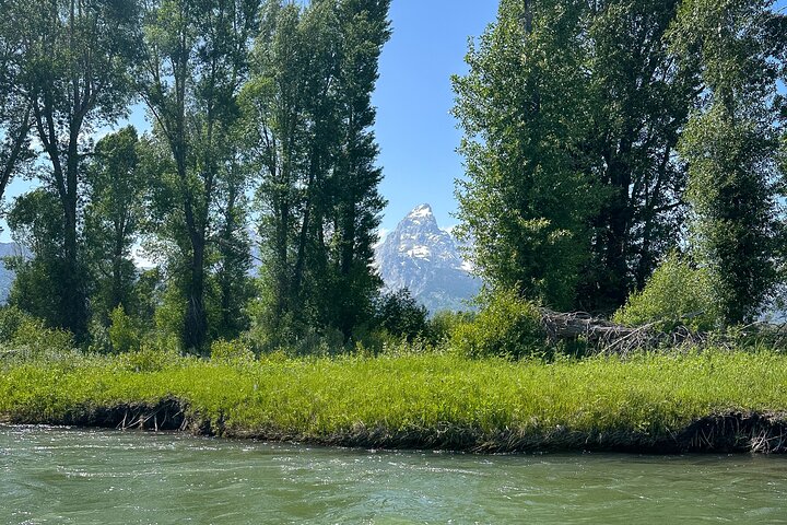 Panoramaausflug auf dem Snake River im Grand Teton Nationalpark