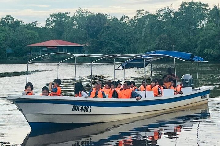 Cruzeiro pelo rio Borneo (Klias) e passeio pelos vaga-lumes