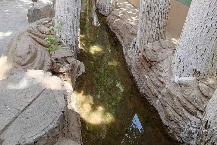 Excursion privée d'une journée à Turpan au départ d'Urumqi, y compris les grottes de Bezklik