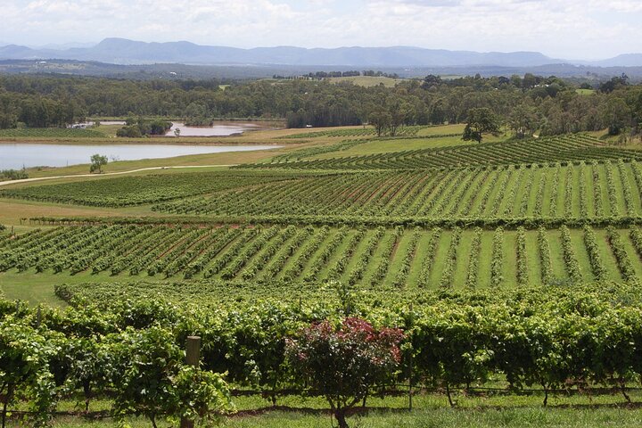 Hunter Valley All Inclusive Boutique Weintour ab Sydney
