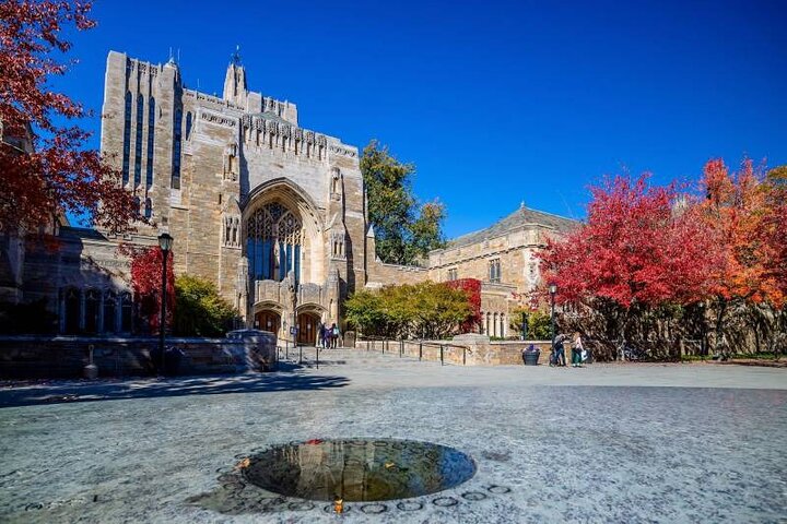 Asombrosa caza universitaria : Yale y más allá