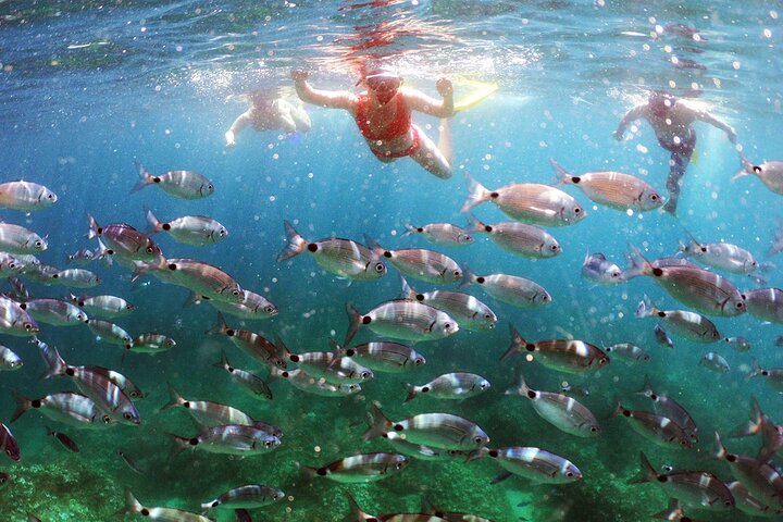 KAYAK & SNORKEL ÄVENTYR - Havsgrottor och Vilda Kusten Utforska
