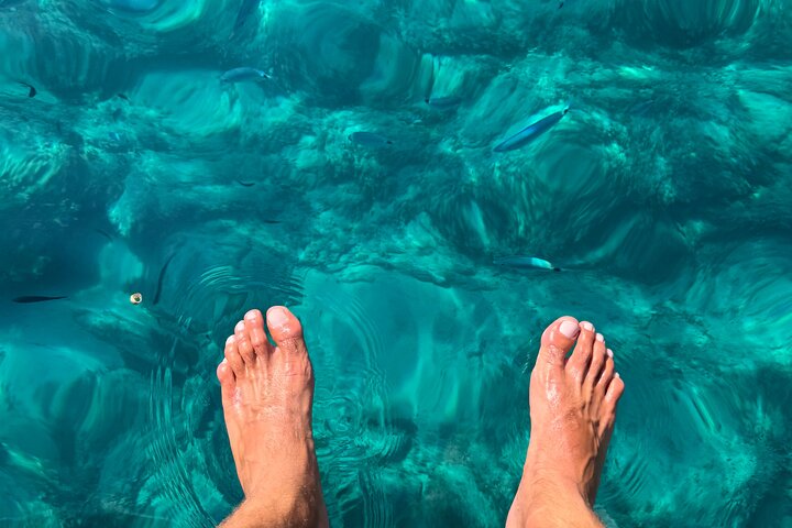 Alcudia : excursion de 3 heures en hors-bord avec visite touristique, découverte des grottes marines et plongée avec tuba