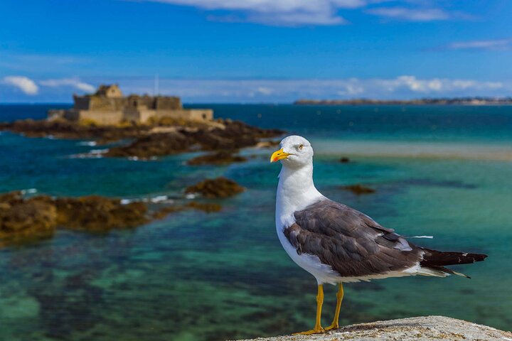 Saint-Malo Walking Tour med Audioguide på din smartphone