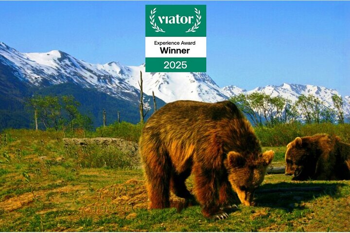 Tour avventuroso con vista sul ghiacciaio e fauna selvatica di Anchorage