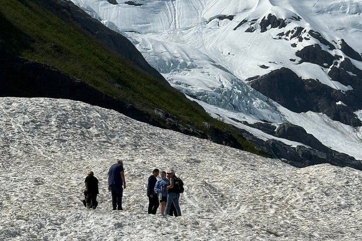 Tour avventuroso con vista sul ghiacciaio e fauna selvatica di Anchorage