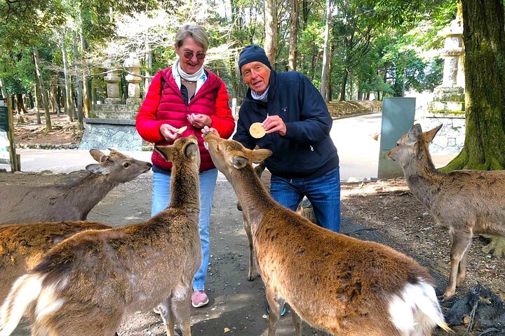 Nara: Excursão privada de meio dia por 4 pontos imperdíveis & Deer Park