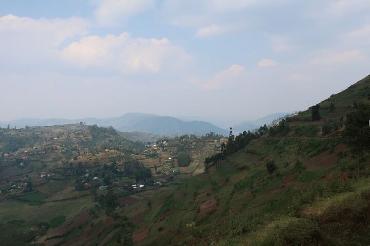 7 - Excursion Safari personnalisée d'une journée et randonnée Gorilla en Ouganda