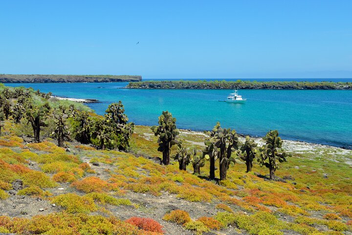 Paquete de 5 días de primera clase en Galápagos con excursiones de un día en yate