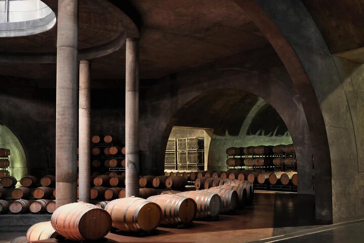 Uco Valley : Zuccardi Experience & Lunch presso la cantina Salentein.