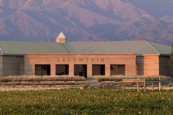 Uco Valley : Zuccardi Experience & Lunch presso la cantina Salentein.