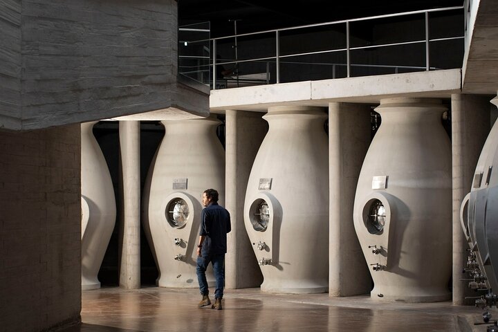 Uco Valley : Zuccardi Experience & Lunch presso la cantina Salentein.