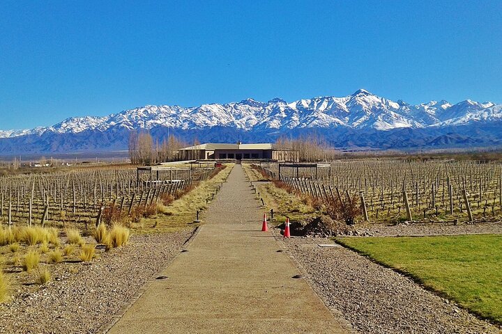Uco Valley : Zuccardi Experience & Lunch presso la cantina Salentein.