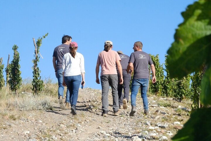 Uco Valley : Zuccardi Experience & Lunch presso la cantina Salentein.