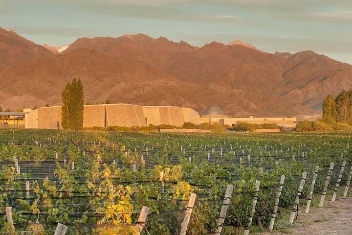 Uco Valley : Zuccardi Experience & Lunch presso la cantina Salentein.