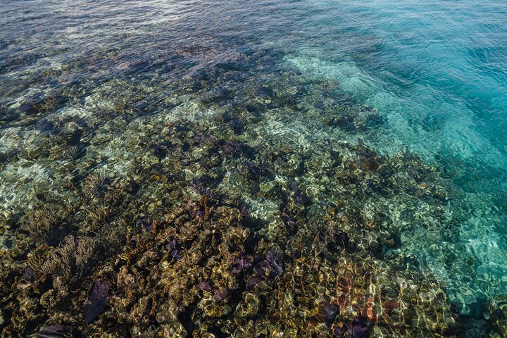 Great Blue Hole and Lighthouse Reef Atoll Snorkel Adventure