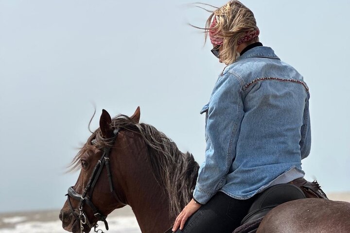Paseos a caballo en Essaouira - Essaouira HorseRiding