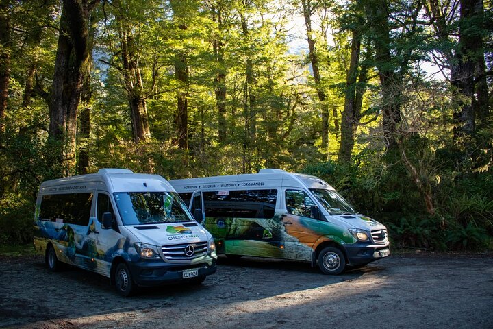 Da Te Anau a Queenstown via Milford Sound Tour con crociera e pranzo