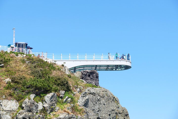Beste kysthøydepunkter i Busan med Gamcheon Village & Sky Capsule