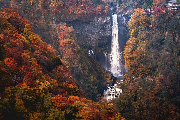 De Tóquio: Passeio de um Dia Guiado aos Sítios Patrimônio Mundial de Nikko