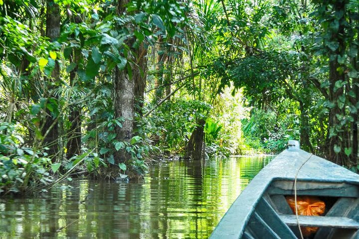 Peruaanse Amazone regenwoud van Tambopata voor 3 dagen 2 nachten