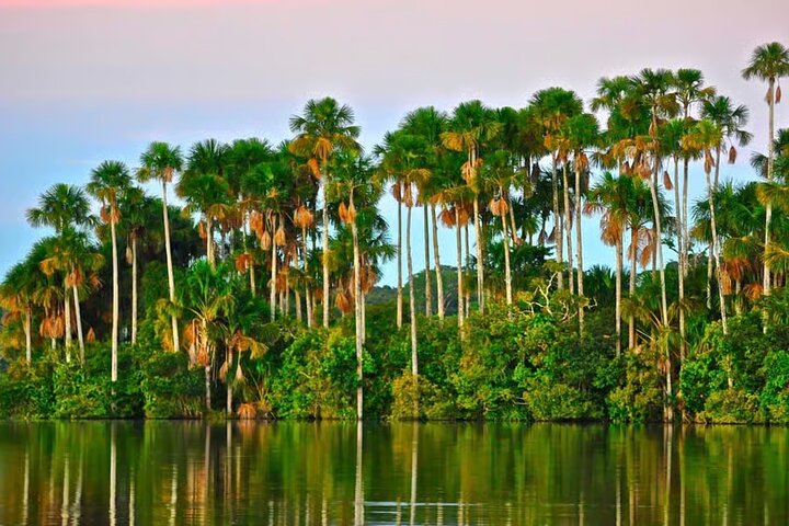 Peruaanse Amazone regenwoud van Tambopata voor 3 dagen 2 nachten