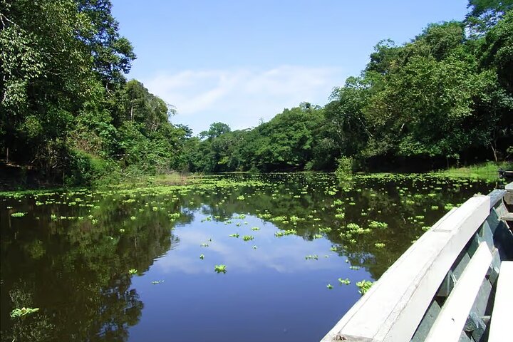 Peruaanse Amazone regenwoud van Tambopata voor 3 dagen 2 nachten