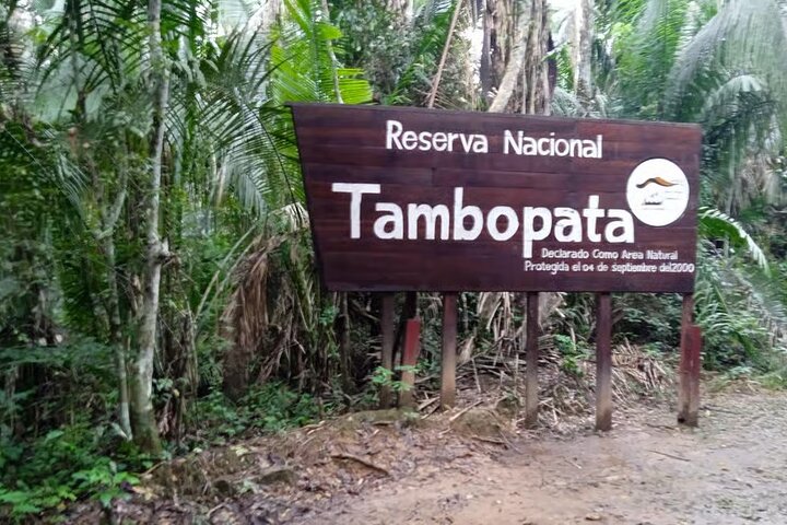 Peruaanse Amazone regenwoud van Tambopata voor 3 dagen 2 nachten