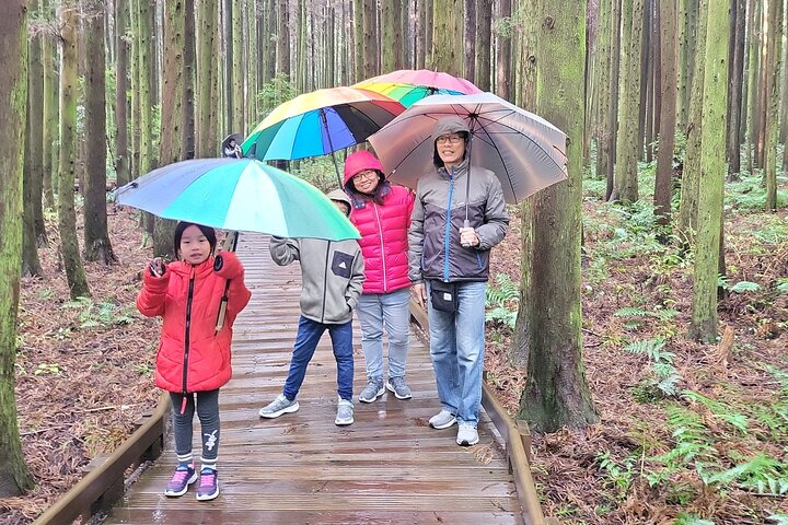 Passeio Privado Túnel de Lava de Manjanggul e Tour Leste na Ilha de Jeju