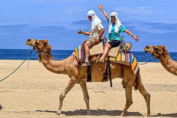 Safari en Camello y Experiencia Gastronómica en Los Cabos