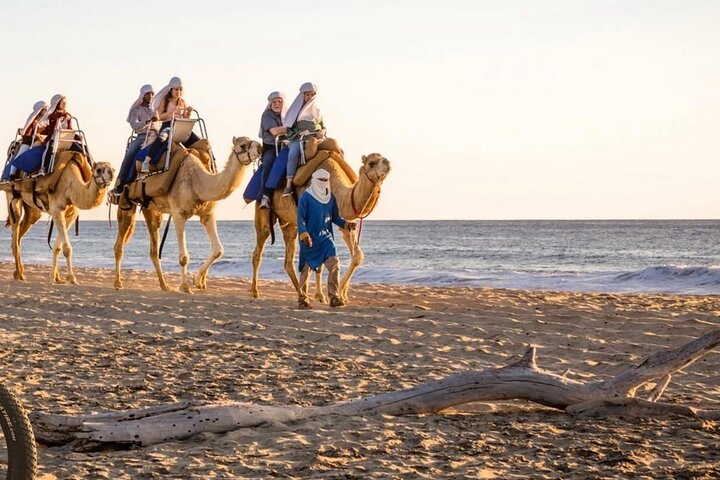 Safari en Camello y Experiencia Gastronómica en Los Cabos