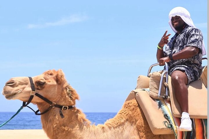 Safari en Camello y Experiencia Gastronómica en Los Cabos