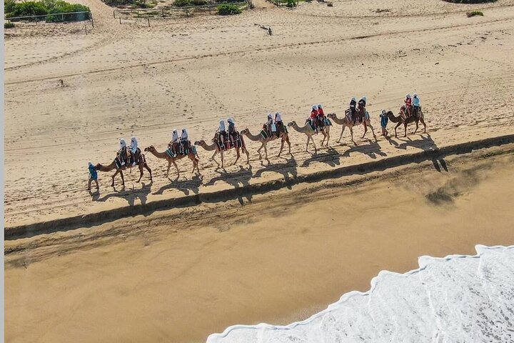 Safari en Camello y Experiencia Gastronómica en Los Cabos