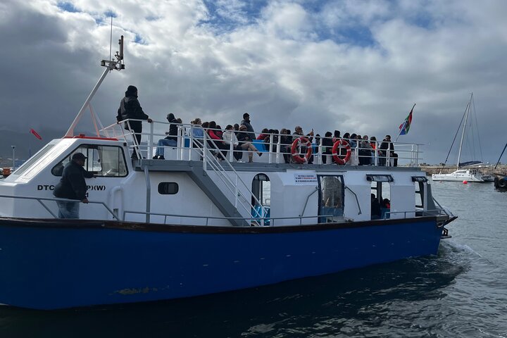 Excursion privée d'une journée d'observation des baleines Hermanus au bord du rivage au départ du Cap