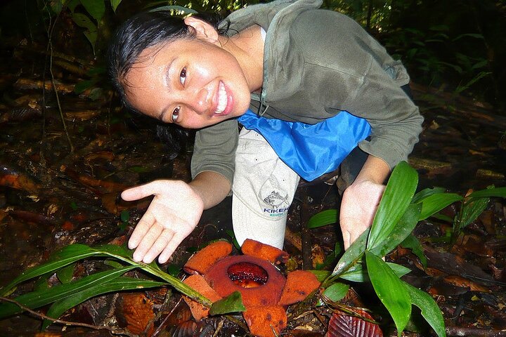 Tawau : 3D2N Maliau Basin La Expedición al Mundo Perdido desde Semporna