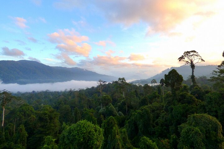 Tawau : 3D2N Maliau Basin La Expedición al Mundo Perdido desde Semporna
