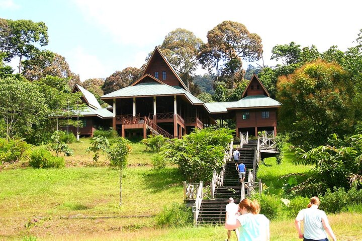 Tawau : 3D2N Maliau Basin La Expedición al Mundo Perdido desde Semporna
